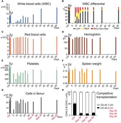 Second bone marrow transplantation into regenerating hematopoiesis enhances reconstitution of immune system